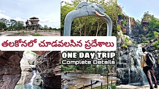 Talakona waterfall  Talakona  Tirupati  AP Tourism  AndhraPradesh [upl. by Valerie]