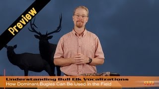 Using Dominant Bull Elk Bugles in the Field  Preview RHR Elk Hunting Instructional Videos [upl. by Beghtol]