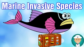 What is an Invasive Species Environmental Threat From Marine Invasive Species [upl. by Ahsieker]