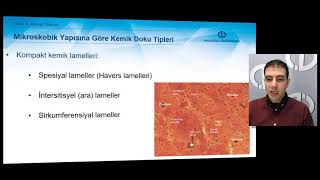 TEMEL VETERİNER HİSTOLOJİ VE EMBRİYOLOJİ  Ünite 5 Özet [upl. by Edson19]