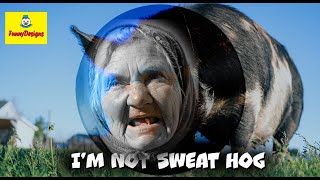 I’m Not Sweat Hog song parody of I’m not Lisa by Jessi Colter Russian style  with lyrics [upl. by Mccahill]