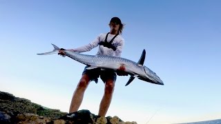 HUGE Spanish Mackerel and Longtail Tuna  INSANE Solo LBG Fishing Session [upl. by Vail689]