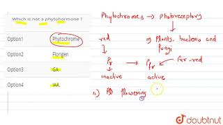 Which is not a phytohormone [upl. by Nilkcaj]