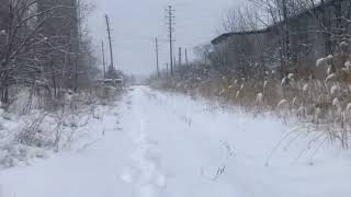 Walking the OrangevilleBrampton Railway Rosedale Ave to Railroad St [upl. by Waite30]