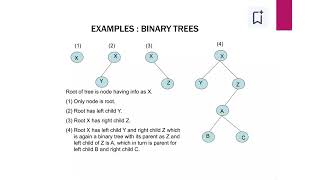 Binary tree [upl. by Nirik]