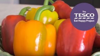 How do peppers get from farm to fork Come on an Online Field Trip with us to find out [upl. by Bailey]