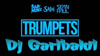 Trumpets Remix  Sak Noel amp Salvi ft Sean Paul quotDj Garibaldiquot [upl. by Mayeda277]