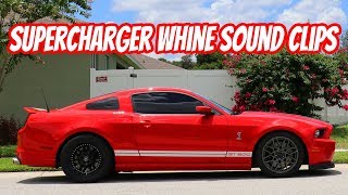 Crazy Loud Supercharger whine VMP Gen 3 R Supercharged GT500 WOT Pulls Sound Tube Mod [upl. by Ezeerb483]