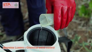 Chemical weed control [upl. by Bannerman927]