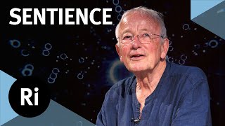 How did consciousness evolve  with Nicholas Humphrey [upl. by Arnaldo]