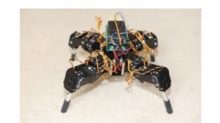 Brain organoids in a spider robot drone [upl. by Gustafson]