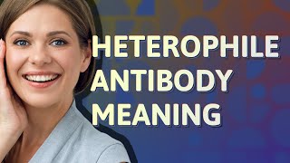 Heterophile antibody  meaning of Heterophile antibody [upl. by Lleznol]