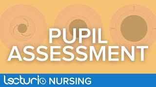 How To Perform a Pupil Assessment  Neurological Assessment [upl. by Gaidano]