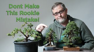 Bonsaify  The One Mistake All Bonsai Beginners Make Heres How to Avoid It [upl. by Foley548]