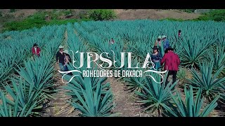 Úrsula Rohedores de Oaxaca Videoclip Oficial 2024 [upl. by Yaner430]