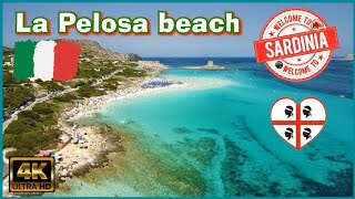 🇮🇹 LA PELOSA BEACH SARDINIA ITALY DRONE 4K [upl. by Stig]