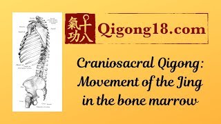 Craniosacral Qigong [upl. by Olatha]