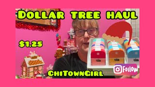 DOLLAR TREE HAUL  NEW WEEK NEW FINDS amp FLOPS 🤦‍♀️ 12224 dollartreehaul chitowngirl haul [upl. by Bartosch]