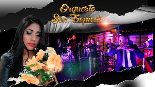 Estreno El Teléfono Orquesta Son Tropical [upl. by Llerryt]