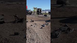 Traffic Backed Up For Miles at RV Show in Quartzsite AZ accident shorts [upl. by Perce627]