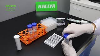 Aflatoxin B1 Rapid Test  Detection of Aflatoxin B1 in Pig feed  BALLTA [upl. by Marozas]