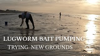 Bait Pumping For Fresh Lugworm on a Sandbank that Only uncovers on Big Tides [upl. by Ylnevaeh]