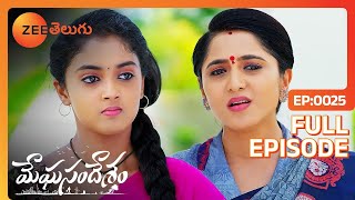 ఇద్దరం ఒకే దారిలో వెళ్తే ఎం అవుతుంది  Meghasandesam Telugu  Full Ep 25  Zee Telugu  08 Jul 2024 [upl. by Nirraj]