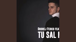 Tu Sal Miri feat Vajdis [upl. by Maxy]