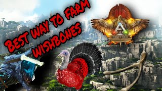 ARK TurkeyTrials Best turkey wishbone farming methodValguero [upl. by Limann]