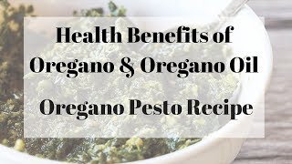 Health Benefits and Uses of Oregano w Oregano Pesto Recipe [upl. by Ennoid]