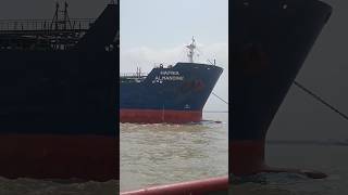 HAFNIA ALMANDINEshiplovers shipinstrom bigship shorts shortvideoshortsviral ship shipchannel [upl. by Ferreby]