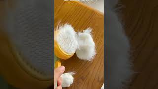 Pumpkin Self Cleaning Pet Brush  Deshedding for Dogs Cats Puppies and Rabbits cat [upl. by Winston]