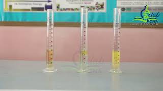 To Demonstrate that miscible liquids dissolve in each other and immiscible do not By Dr Riaz [upl. by Stoecker]