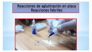 Clase 6  Reacciones febriles [upl. by Nodnarbal]