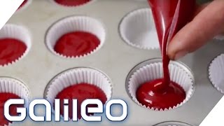 Schokolade und Cupcakes aus Blut  Ist das genießbar  Galileo  ProSieben [upl. by Olodort132]