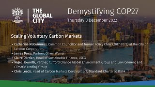 Scaling Voluntary Carbon Markets VCM [upl. by Eilyw450]