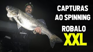 ROBALO 6 KG  Pesca spinning Portugal  Seabass fishing [upl. by Pegma]