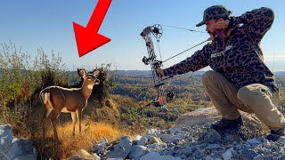 Bowhunting Whitetail Deer in the Appalachian Mountains [upl. by Fortier]