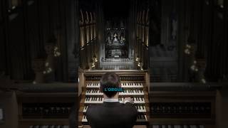 La restauration de l’orgue de cnotredamedeparis patrimoine paris lejourduseigneur [upl. by Reinar]