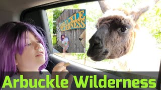 Tour Arbuckle Wilderness with me [upl. by Raffaello]