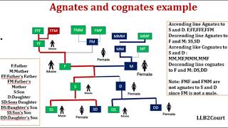 Agnates and cognates  Hindu Succession Act1956 Section 3 and 4 Tamil [upl. by Bern]