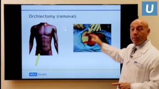 Testicular Cancer What You Really Need to Know  Mark Litwin MD MPH  UCLAMDChat [upl. by Akiv]