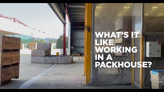 Trevelyans Packhouse Overview [upl. by Brottman551]