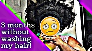 Natural Hair Confessions 3 Months Without Washing My Hair  TeaundraTangles [upl. by Neicul211]