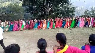 Kumauni Chanchari folk Dance [upl. by Ela]