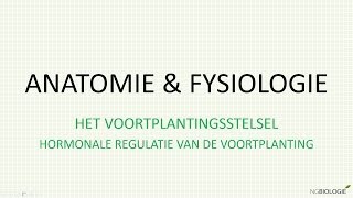 Hormonale regulatie van de voortplanting [upl. by Am]