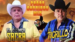 El Compa Sacra  El Tigrillo Palma 🌵 Puros Corridos Mix Para Pistear 2024 [upl. by Nairad]