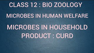 Microbes in household product  Curd  Microbes in human welfare  Class 12  Bio zoology  Tamil [upl. by Ahsemik171]