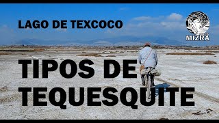 Tipos de Tequesquite del Lago de Texcoco [upl. by Francesca647]