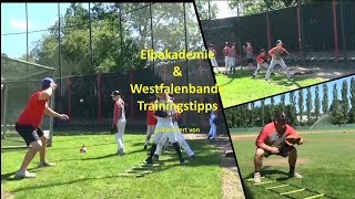 Baseball Traingstipps Outfield Flyball Drills  deutsch [upl. by Anihpesoj]